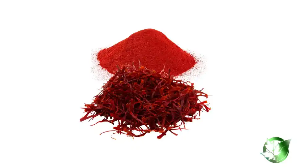 Bulk Saffron Powder | Suppliers | Wholesale | ParsaFood Global